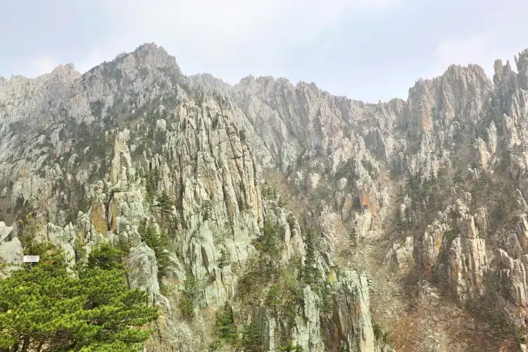 金剛山觀光地區