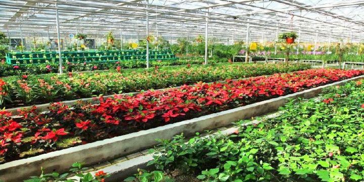 Beichuan West Agricultural Demonstration Sightseeing Park