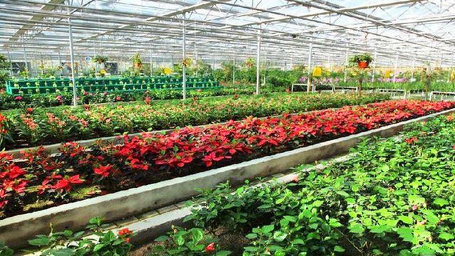 Beichuan West Agricultural Demonstration Sightseeing Park