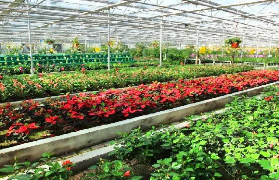 北川維斯特農業示範觀光園門票優待（小童／長者／學生）