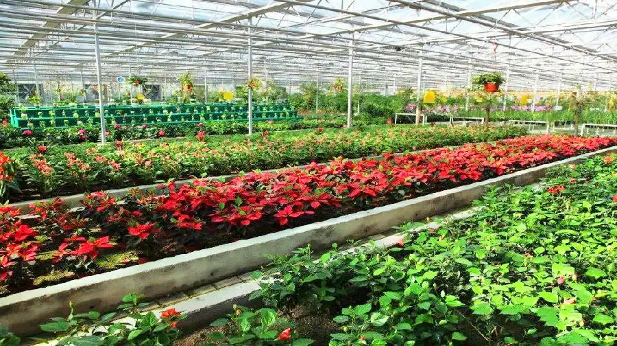 Beichuan West Agricultural Demonstration Sightseeing Park 주변 호텔