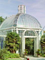 Conservatory and Botanical garden Geneva
