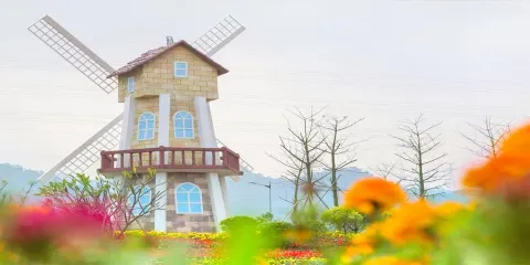 愛麗絲仙境花海