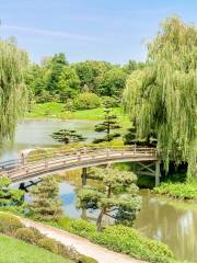 Jardin botanique de Chicago