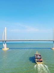 A boat tour of Hong Kong Zhuhai Macao Bridge