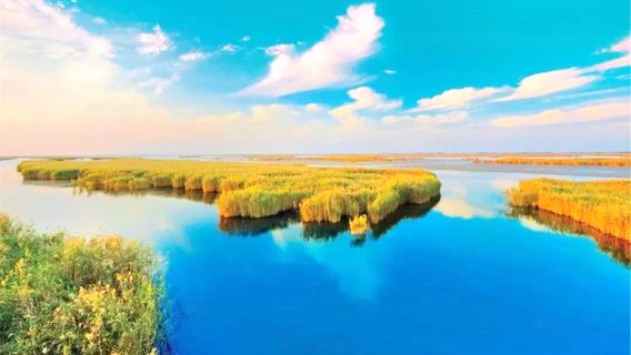 Swan Lake Mancheng Tourist Resort