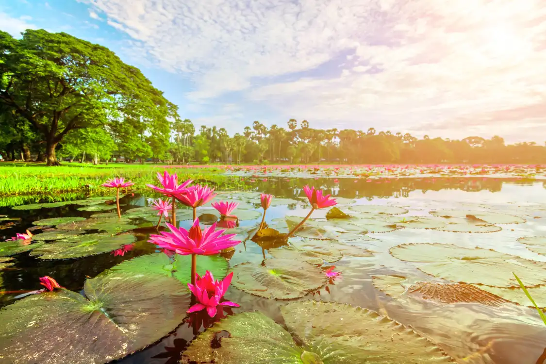 Hotels near Lianhu Park