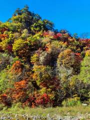 Fenglingu Forest Park