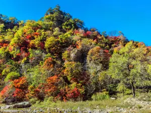 Fenglingu Forest Park