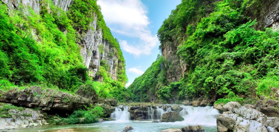 Things To Do In Wudang District In 2025 Top Attractions Local Food 100i1f000001gp56z3C80 D 1180 558