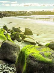 Caroline Bay Association