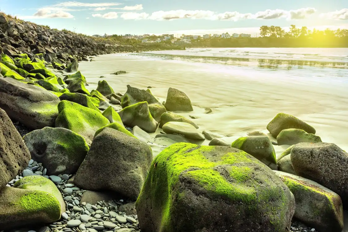 Hotels near Caroline Bay Association
