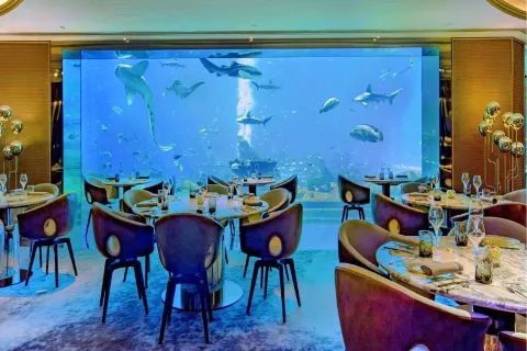 溫州極地海洋世界