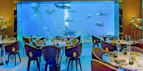 溫州極地海洋世界
