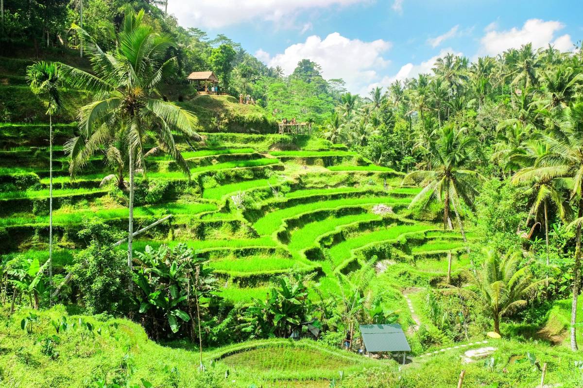 10. Tempat Hits di Bali-Ubud