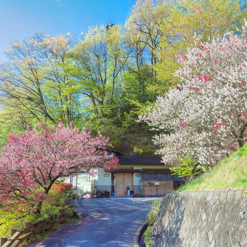 Achi Travel Guidebook Must Visit Attractions In Achi Achi Nearby Recommendation Trip Com