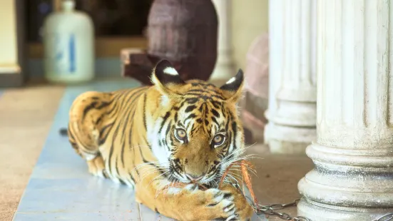 普吉島動物園