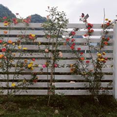 自可留花園咖啡屋張用戶圖片