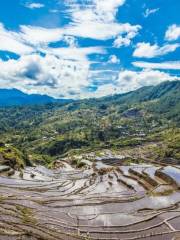 科迪勒拉山梯田