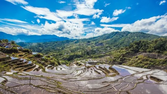 科迪勒拉山梯田