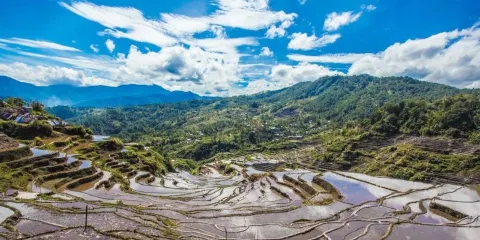 科迪勒拉山梯田