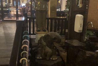 Thajene Chomchan User Photo