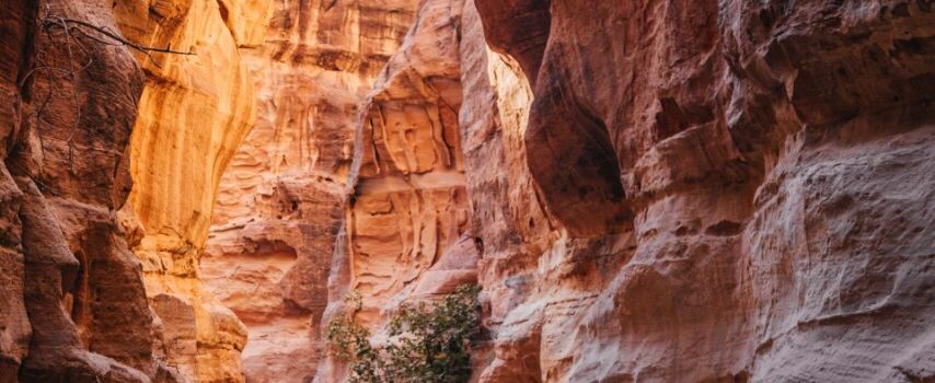Petra