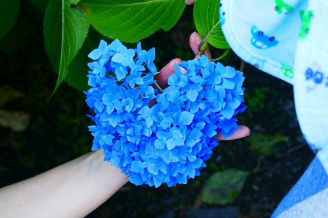 Mimuroto Temple Attractions Uji Travel Review Travel Guide Trip Com