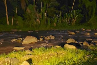 Kubu at Mandapa User Photo