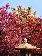 Zhulinshan Temple Park