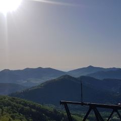 Tenbou Cafe User Photo