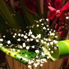 Neung Roi張用戶圖片