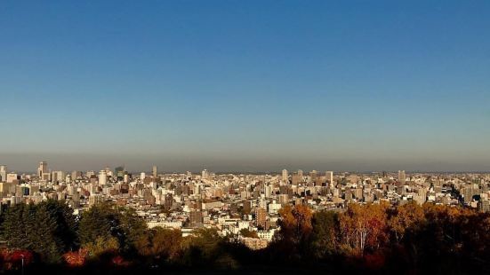 旭山公园紧邻旭山动物园，是一个赏樱花的著名景点。到了冬天基本