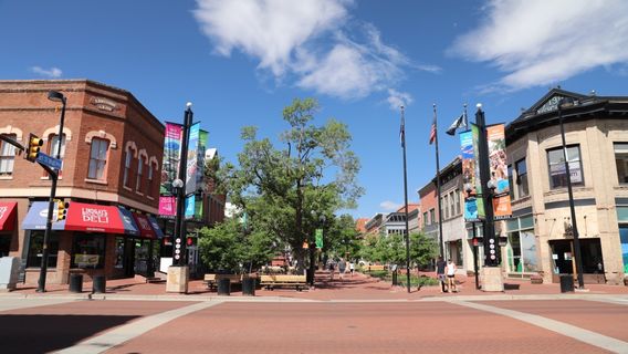 Boulder