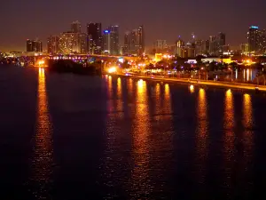 Popular Night Attractions in Miami Beach