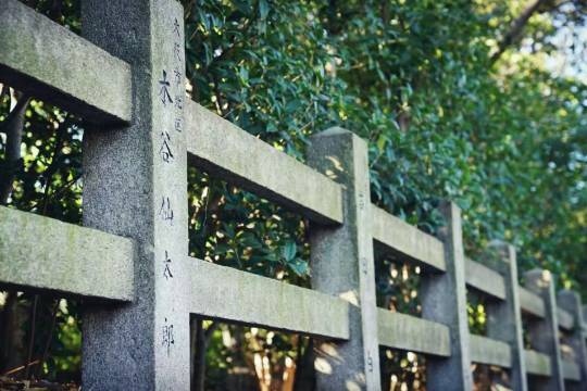 日本+大阪+大阪城公園+大阪城天守閣+道頓堀+梅田藍天大廈+天保山摩天輪一日遊