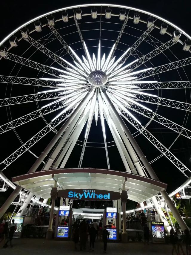Niagara Skywheel