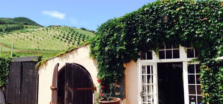 Poderi Crisci