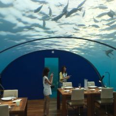 ITHAA UNDERSEA RESTAURANT ảnh của người dùng