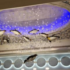 珠海长隆企鹅酒店·烟花台中餐厅 ảnh của người dùng