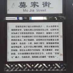 DE LU User Photo