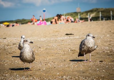 Scheveningen