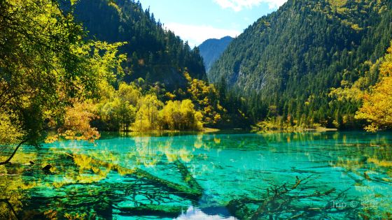 9 Days Sichuan World Heritage Tour -Jiuzhai Valley with Lehsan and Emei