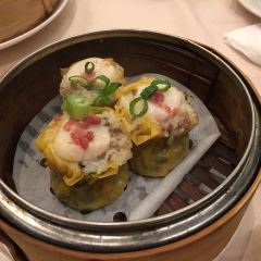 Shanghai River張用戶圖片