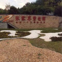 BI GUI YUAN BU LAN KA XI CAN TING User Photo