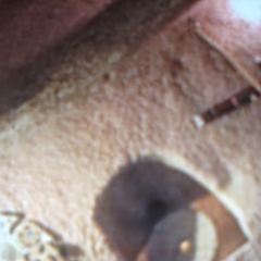 Topdeck Cave User Photo