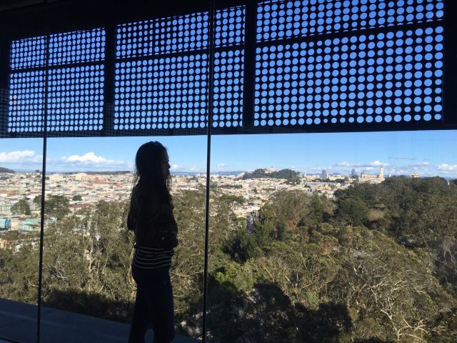 de Young Museum