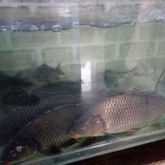 北极村沈家大院 User Photo