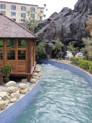 Fengshun Jindebao Hyatt International Hot Spring