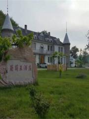 Huatai Grape King Chateau